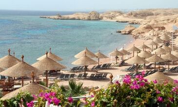 Sharm El Sheikh Turu