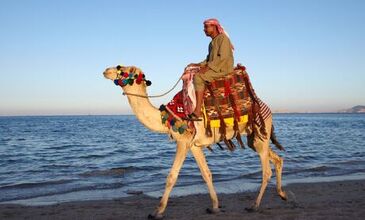Sharm El Sheikh Turu