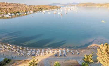 Ladonia Hotels Del Mare Bodrum / 4 Gece 5 Gün / İstanbul Bursa ve İzmir Kalkışlı