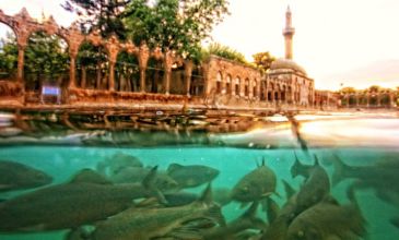 Uçaklı Gap Turu / 3 Gece 4 Gün / İstanbul Kalkışlı