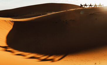 Prestij Dubai Signature - Megastar Tarkan Konseri Turu FlyDubai Hava Yolları ile Tarkan Konseri Bileti, Abu Dhabi Ethiad Arena Transferi ve Dubai Şehir Turu Dahil! 4 Gece (407)