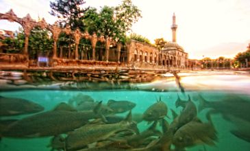 Uçaklı Gap Turu / 3 Gece 4 Gün / İstanbul Kalkışlı