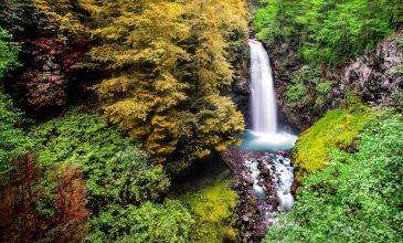 Taşacak Bu Karadeniz Turu / 3 Gece 4 Gün / İstanbul Kalkışlı