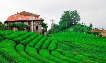 Taşacak Bu Karadeniz Turu / 3 Gece 4 Gün / İstanbul Kalkışlı