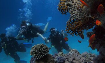 Sömestr Özel Sharm el Sheikh-Kahire ve  İskenderiye Masalı
